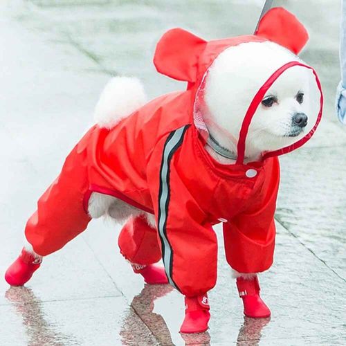 Manteau Imperméable À Capuche Pour Chien,Veste De Pluie Pour Animaux De Compagnie,Vêtements Pour Petits Chiens,Teddy Golden Retriever Shiba Inu - Type Red Bear-Xs