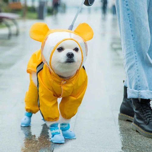 Manteau Imperméable À Capuche Pour Chien,Veste De Pluie Pour Animaux De Compagnie,Vêtements Pour Petits Chiens,Teddy Golden Retriever Shiba Inu - Type Yellow Bear-M