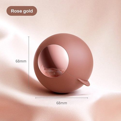 Peigne Anti-Peluches Réutilisable Pour Chat Et Chien,Vêtements Lavables,Outils Anti-Peluches Pour Animaux De Compagnie,Boule Roulante Collante - Type Rose Gold