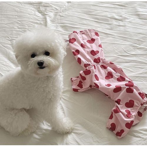 Imperméable Tout Compris Imperméable Pour Petit Chien,Vêtements Pour Chiots,Chihuahua,Harnais,Petit Chien - Type Rose-L