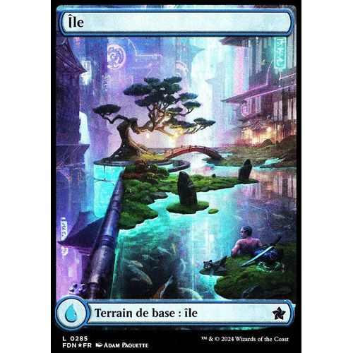 Île - Foil - Magic - Fondations Vf - C - 285