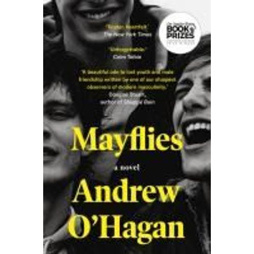 Mayflies