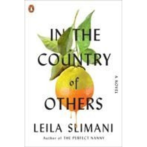In The Country Of Others
