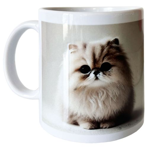 Mug En Céramique Blanche Sacré De Birmanie