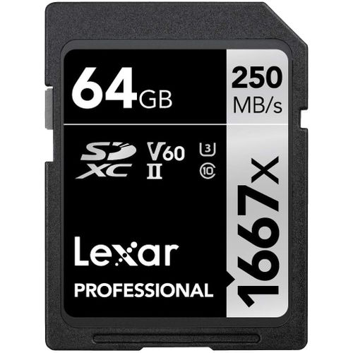 Professional 1667x Carte SD 64 Go, Carte Memoire SDXC UHS-II, Jusqu'à 250 Mo/s en lecture, Class 10, U3, V60, SD pour photographe professionnel, vidéaste, passionné (LSD64GCB1667)