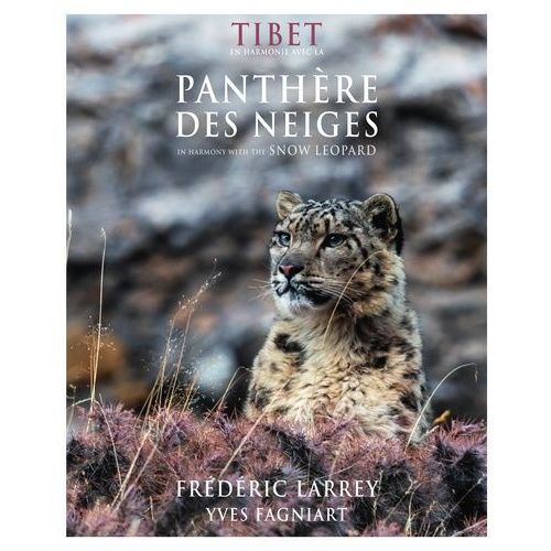 Tibet, En Harmonie Avec La Panthère Des Neiges