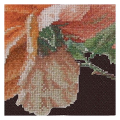 Thea Gouverneur - Kit De Point De Croix Compté - Just Joey - Aida Noir - 18 Compter - Pour Adultes - 414.05