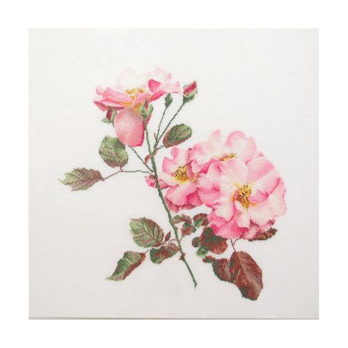 Thea Gouverneur - Kit De Point De Croix Compté - Rosa Leersum - Aida - 18 Compter - Pour Adultes - 412a