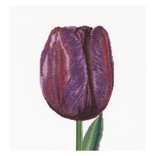 Thea Gouverneur - Kit De Point De Croix Compté - Tulipe De Triomphe Pourpre - Lin - 32 Compter - Pour Adultes - 514