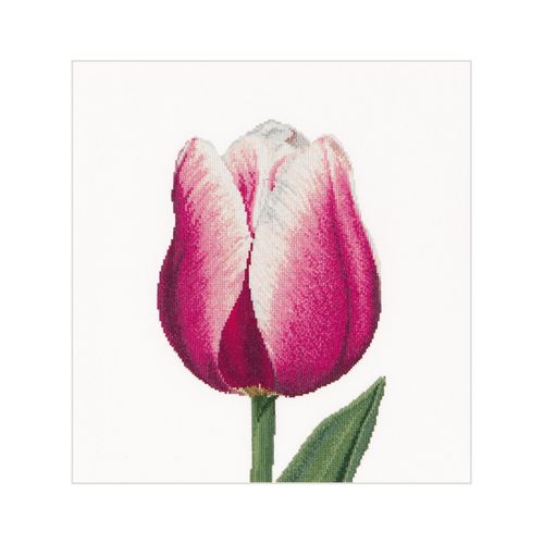 Thea Gouverneur - Kit De Point De Croix Compté - Tulipe Triomphe Rouge / Blanche - Lin - 32 Compter - Pour Adultes - 517