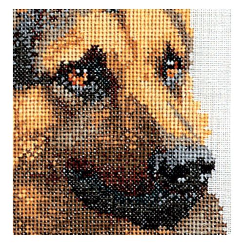 Thea Gouverneur - Kit De Point De Croix Compté - Chien De Berger - Lin - 24 Compter - Pour Adultes - 934