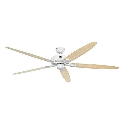CLASSIC ROYAL 180, Fan sans