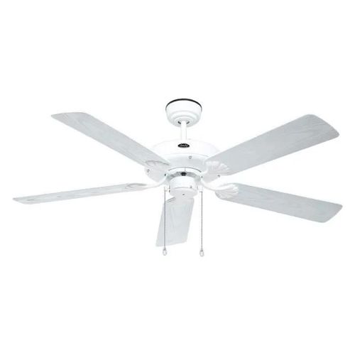 OUTDOOR CLASSIQUE, Fan sans