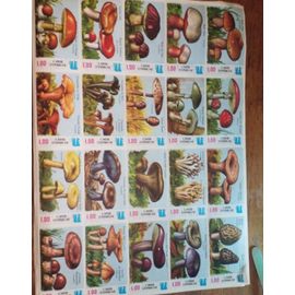 Planche D’Images Épargne Scolaire De La Caisse D’Épargne Écureuil . Les Champignons