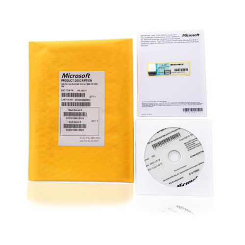 Microsoft Sql Server Standard 2019 Iot Avec Dvd + Clé De Licence