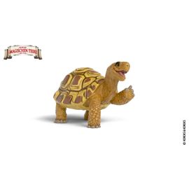 School Of Magic Animals Henrietta La Tortue