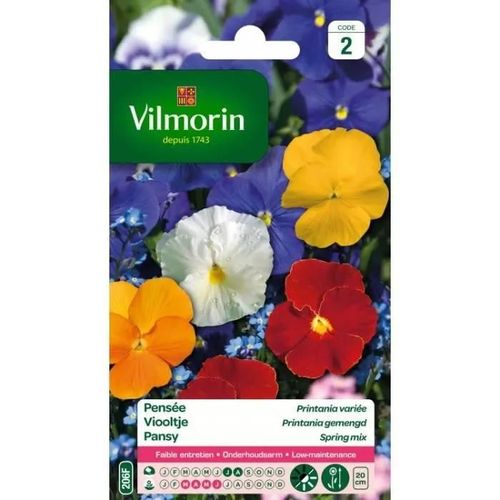 Vilmorin - Pensée Printania Variée