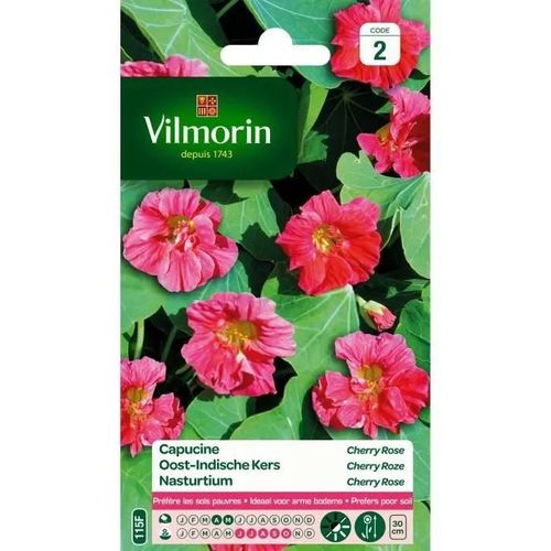 Vilmorin Capucine Naine Double Cherry Rose