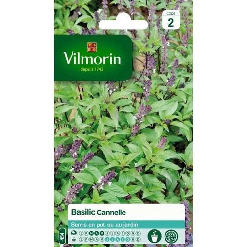 Vilmorin Basilic Cannelle