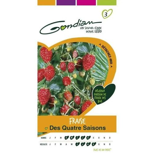 Gondian - Fraise 4 Saisons