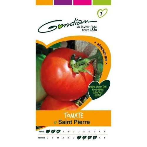 Gondian - Graines Légumes : Semences Tomate Saint Pierre Rouge