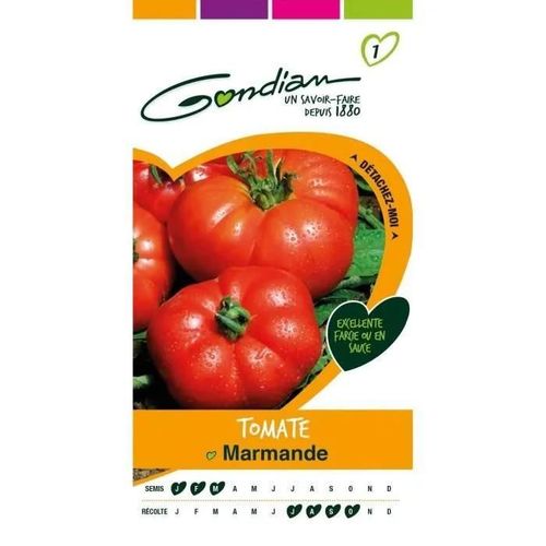 Gondian - Graines Légumes : Semences Tomate Marmande Rouge