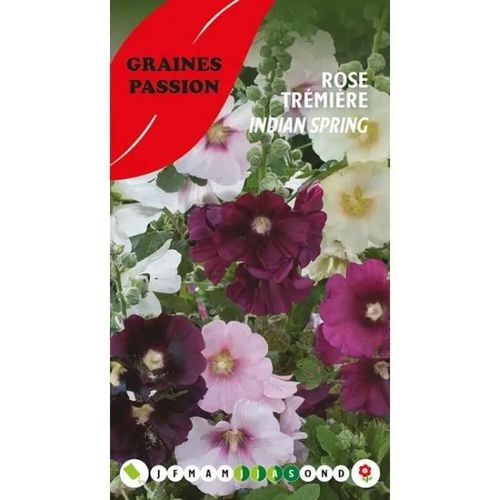 Graines Passion , Sachet De Graines Rose Trémière Indian Spring