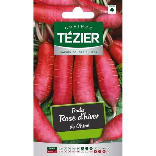 Sachet Graines - Tezier - Radis Rose D'hiver De Chine - Sachet Légume Petit Modèle - (Mois De Semis De 6 À 8)