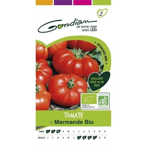 Gondian Tomate Marmande Bio