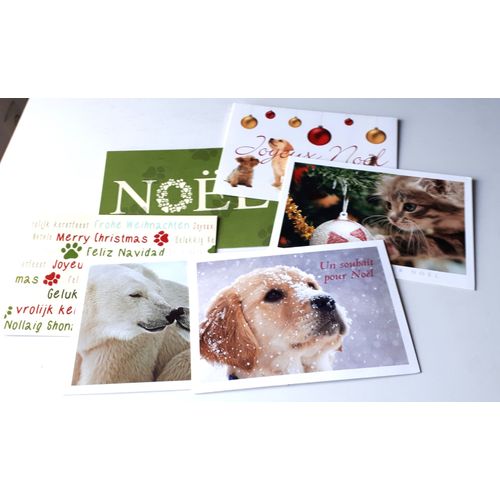 Six Grandes Cartes Doubles De Voeux Avec Décors Festifs De Noël, Petits Animaux Et Animaux Sauvages - Mention De Voeux Extérieure Et Phrase De Souhaits À L'intérieur - 14x20cm - Éditées Par Ifaw