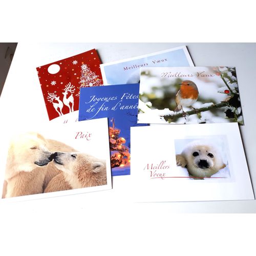 Six Grandes Cartes Doubles De Voeux Avec Décors Festifs De Noël, Rennes, Sapins Et Animaux Sauvages - Mention De Voeux Extérieure Et Phrase De Souhaits À L'intérieur - 14x20cm - Éditées Par Ifaw