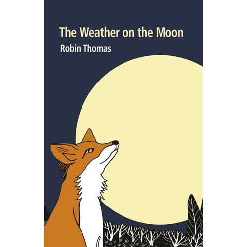 The Weather On The Moon