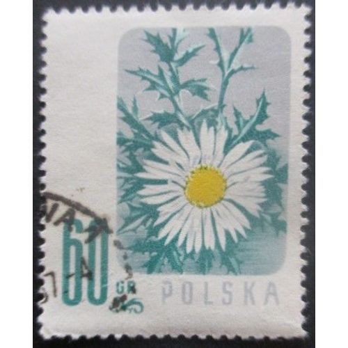 Pologne N°904 Marguerite Oblitéré