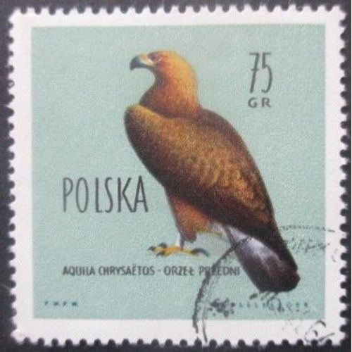 Pologne N°1076 Aigle Royal Oblitéré