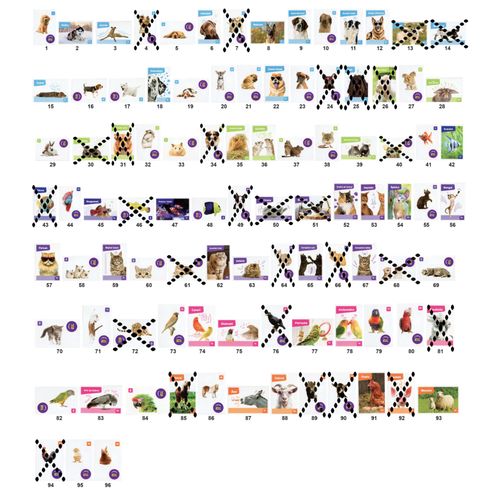 Lot 10 Autocollants Stickers Image Spa - Nos Amies Les Bêtes / Cora Match 2024