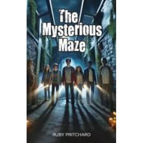 The Mysterious Maze