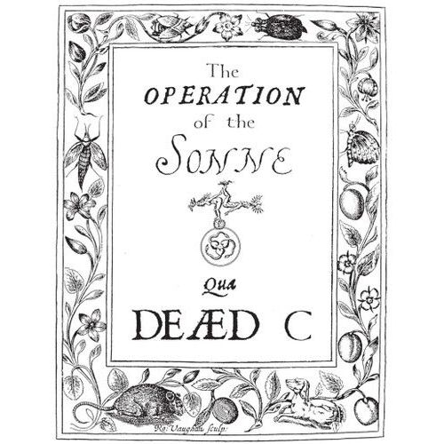 The Dead C - Operation Of The Sonne [Vinyl Lp]