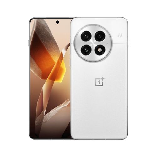 OnePlus 13 256 Go Blanc - Version import