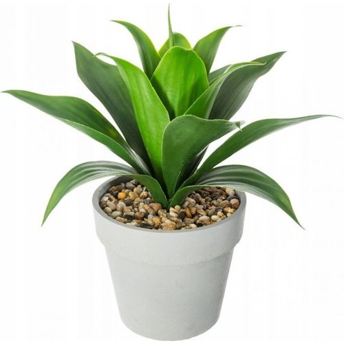 Aloé Vera artificiel - Hauteur 34 cm - Vert