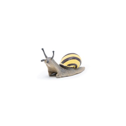 La Vie Sauvage Escargot Des Bois