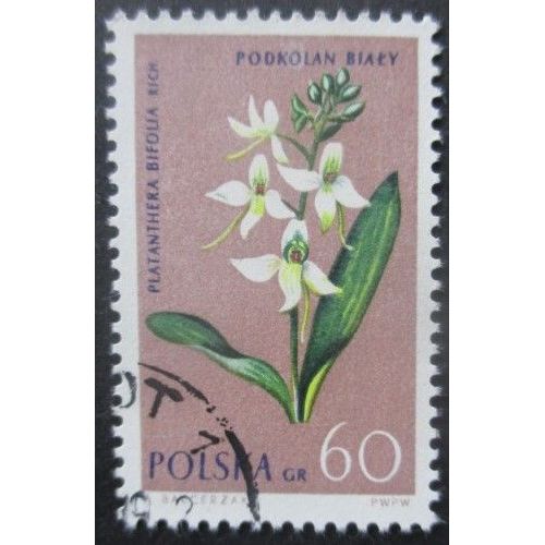 Pologne N°1186 Orchidées Oblitéré