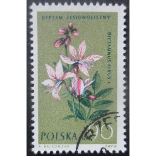 Pologne N°1189 Fleur Oblitéré