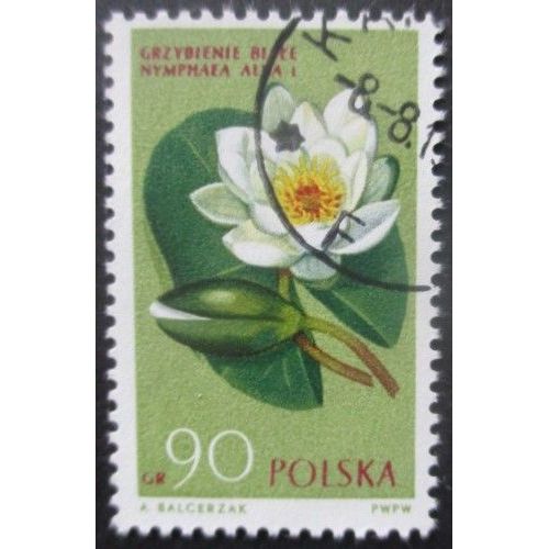 Pologne N°1190 Fleur Oblitéré
