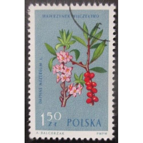 Pologne N°1191 Daphné Oblitéré