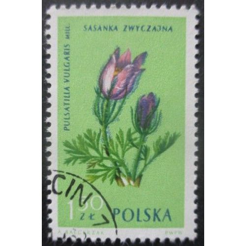 Pologne N°1192 Fleur Oblitéré