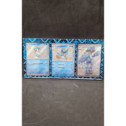 Stande Avec Carte Pokemon Coiffeton, Canarbello, Palmaval Ex