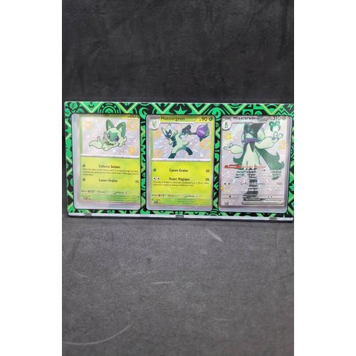 Stande Avec Carte Pokemon Poussacha, Matourgeon, Miascarade Ex