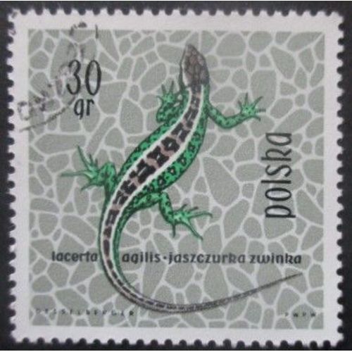 Pologne N°1259 Lézard Oblitéré