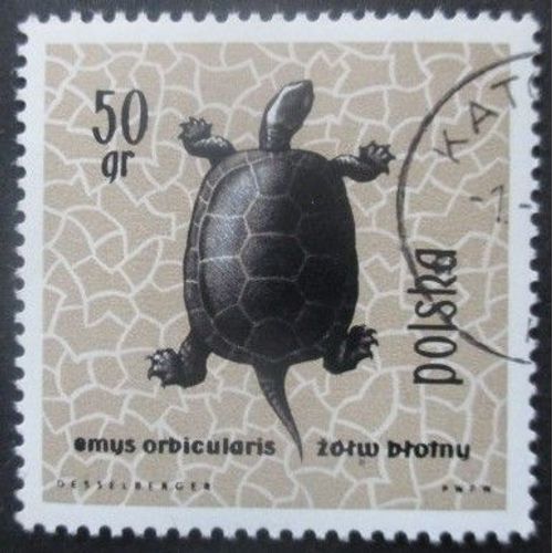 Pologne N°1261 Tortue Oblitéré