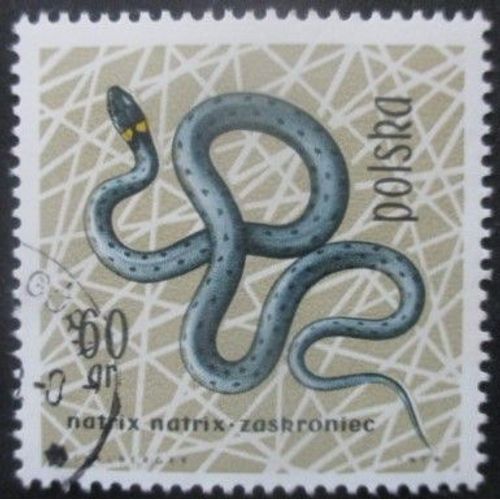 Pologne N°1262 Couleuvre Oblitéré